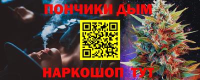 гашик Будённовск