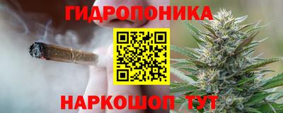 гашик Будённовск