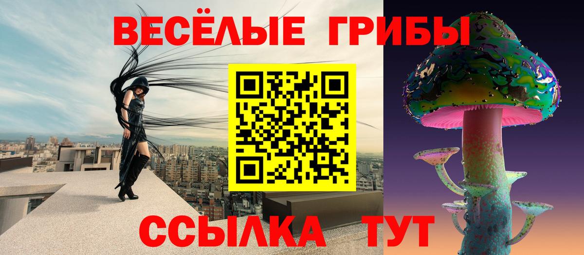 Псилоцибиновые грибы Psilocybine cubensis Реж